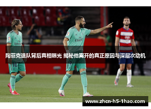 陶菲克退队背后真相曝光 揭秘他离开的真正原因与深层次动机